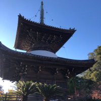 近畿最大の田辺市民bot (@tanabecitybot) Twitter profile photo