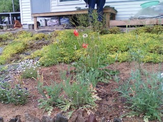 _6774319310321's profile picture. 마음에 평화, 충남 예산 산속마을 거주, 소통의 장을 위하여~