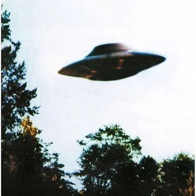 PugaLoad's profile picture. 