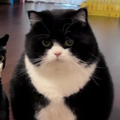 _crackermann's profile picture. best believe i’m still bejeweled