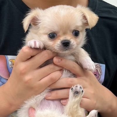 koro_suke13's profile picture. 20代で独立、薬局経営。 二児の父。性格：ポジティブ、優しい、負けず嫌い、せっかち、大雑把。