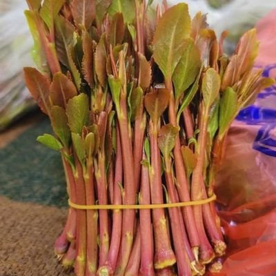 MnsrAbw7419's profile picture. حب الوطن