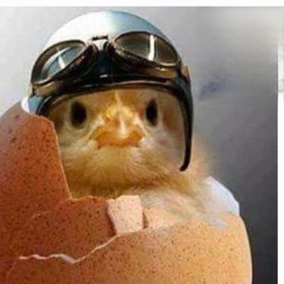 Alegre, optimista, con sentido del humor, solidario.😃
Me gusta leer las opiniones de Twitter, la gente son muy ocurrentes, pero las que son respetuosas. 💕🐣❤