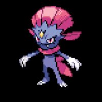 まにゅの趣味　ポケモン (@manyu_poke_toka) 's Twitter Profile Photo