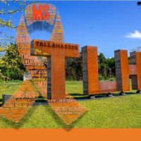 Tallahassee-Big Bend MS Group (@mstallahassee) 's Twitter Profile