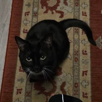 luluyunnning18's profile picture. 2025.05.22~
늦었다고 생각했을 때가 가장 빠르다.