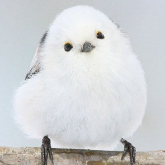 miriru_mana's profile picture. 2013.9.22より 情報収集の為だけのアカウント ポストはたまに&レスは一切しません お酒が飲めるけど飲まない（飲めない）大人 ましゅまろ▶ https://t.co/6VMcVyInUh