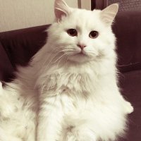 박주현 (@muzlandju) 's Twitter Profile Photo 박주현 (@muzlandju) 's Twitter Profile Photo