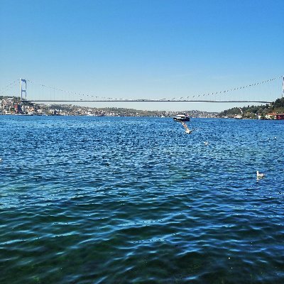 ahmethrmnky's profile picture. 