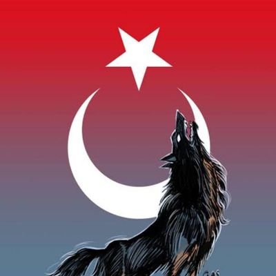 gokburu75675's profile picture. 