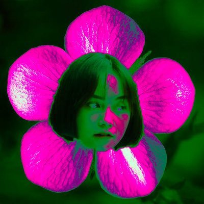 Bemybee279078's profile picture. 📸🌼Photographer 📸🌼 | Would you like to be my bee that perches on my every day? https://t.co/iWWY2Gwx7l