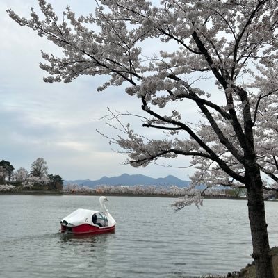 Sutsu_i's profile picture. 岩手在住の大学生。主にITに関する投稿を閲覧・発信します。日常のつぶやきも。日本地理が好きだったりします。
