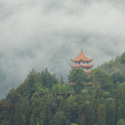 YXR1082630's profile picture. 美食美景，与你共享。互关100％（漏fo请及时告知；限制解除后会及时回关）
