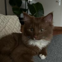 EGY kanacke (@kanackefn) 's Twitter Profile