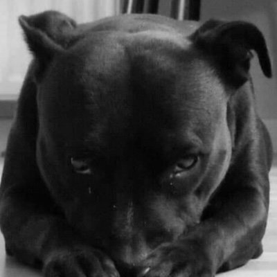 Maltezos317's profile picture. 