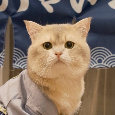 her_kiwi's profile picture. 