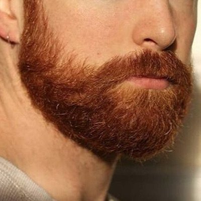 PornArquives's profile picture. 