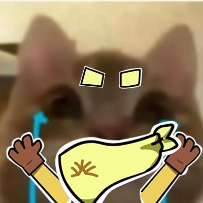 flnexte◨ ◨ Profile
