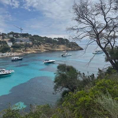 Bitbee_official's profile picture. 