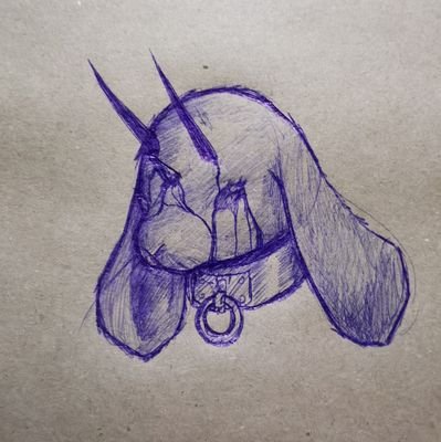 Nekocion's profile picture. 