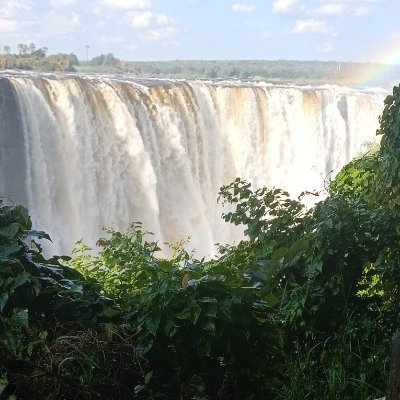 Un01098282Un0's profile picture. 