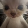 susieonthehill's profile picture. 