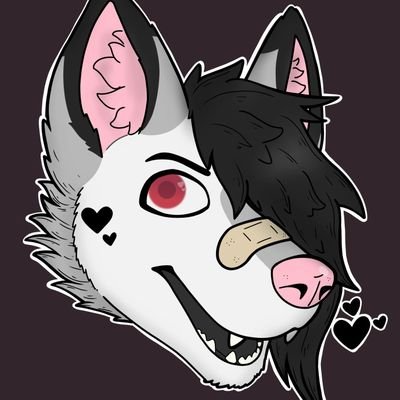 Astorさんのプロフィール画像