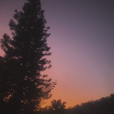 Bioversitaria's profile picture. Achadinhos de tudo um pouco ✨