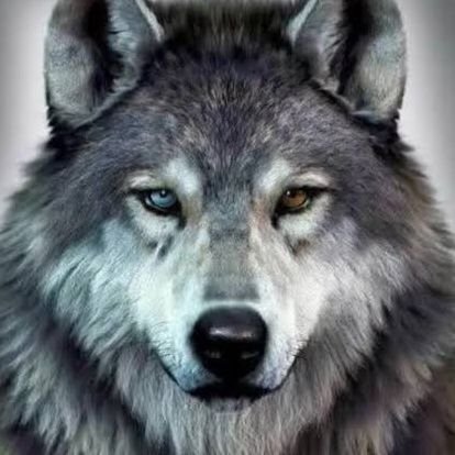 BlazeBee_MPC's profile picture. Blaze Andresen | ?8 Y | G.11 | #MPCss5 | #MPC_Commu