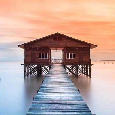 toito20's profile picture.