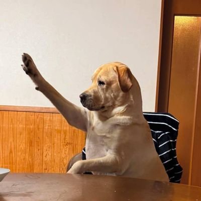 Du1234Jean's profile picture. 