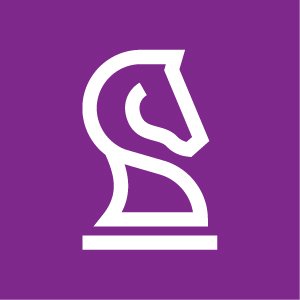 The IT Strategists Profile