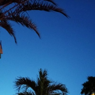 MRGUO70's profile picture. A researcher exploring the application of entropy to social science.