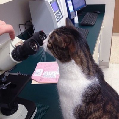 _suadz's profile picture. 🔬👩🏻‍🔬