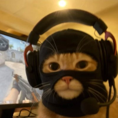 Fotojornalista desempregado, videomaker e editor, ninja na @midianinja. ANTIFA.