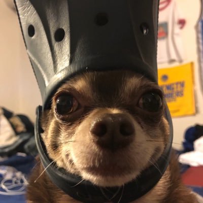 JoobTCG's profile picture. documenting my optcg journey :D