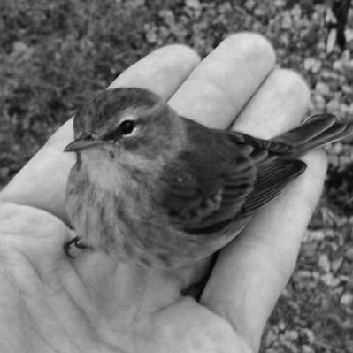 yet_2_decide's profile picture. Financial commentary: traditional and emerging.