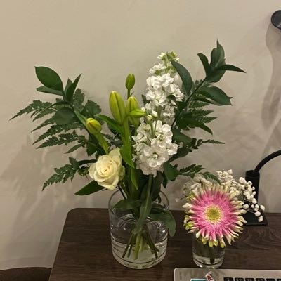 Mona7bj's profile picture. #مصممة_جرافيك ، طالبة اي تي 👩🏻‍💻✨ جوي الشخبطة و الرسم ،احب البساطة واشوف البساطة فن ❣️.