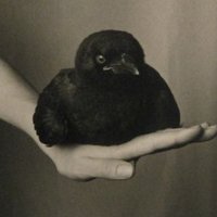 B B (@bb_banaa) 's Twitter Profile Photo B B (@bb_banaa) 's Twitter Profile Photo