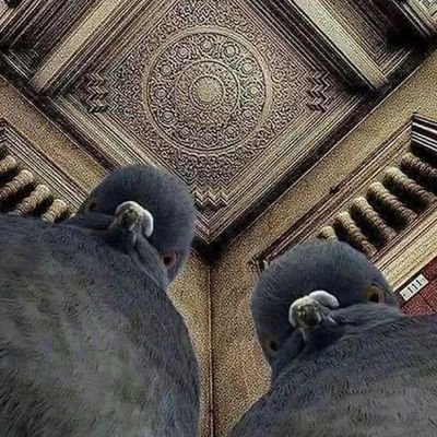 rassan98's profile picture. data & ml engineer