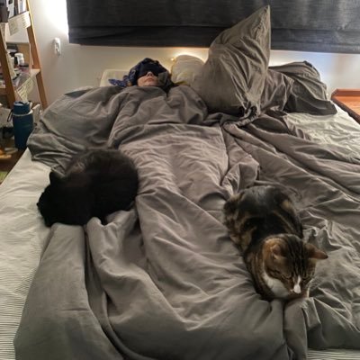 trappedby4walls's profile picture. Pw severe ME/CFS & POTS 🛌 + companions- Sven 🐈 & Russell 🐈‍⬛. Developed ME/CFS after measles infection 🦠2019. Became severe after booster jab 💉2022.