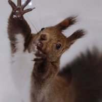 北野大地 (@_kitano_daichi_) 's Twitter Profile