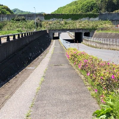 sleepmachine031's profile picture. 男/「ひるね」と呼んで下さい。/ISFJらしい。
気になった方を無言フォローさせて頂きます。よろしくお願いいたします。(適宜ブロックお願いします)