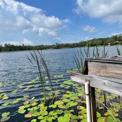 Magpies1314's profile picture. it is all very serious