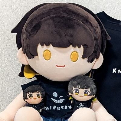 高卒済み.成人済み30↑ ぬいで遊んでます💃ブルーロックと刀剣乱舞(鳴狐🤘博多🪙推し)が熱い❤️🔥蜂楽くん最推しの箱推しです🐝腐夢どっちも好きです✌️