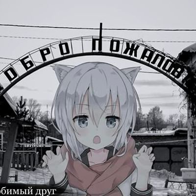 Kaney4nさんのプロフィール画像