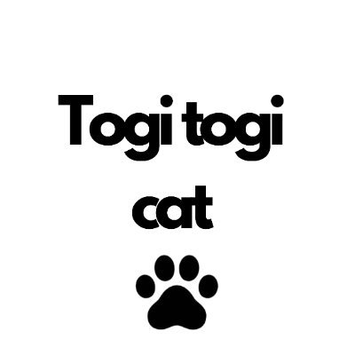 爪研ぎがフォトスポットに🌙✨
猫のSNS映え爪研ぎ専門店🐾
全品送料無料&即日発送で愛猫も大喜び!
ご購入はWebサイトをご覧くださいませ🐾