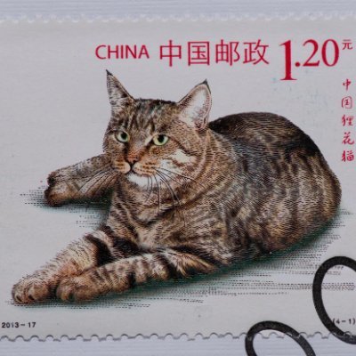 rdayane568's profile picture. ( ꩜ ᯅ ꩜;)