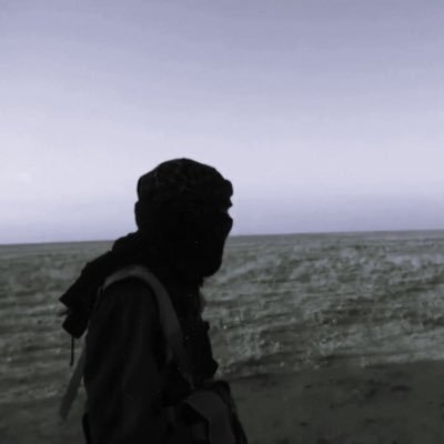 pabANIMAL's profile picture. 