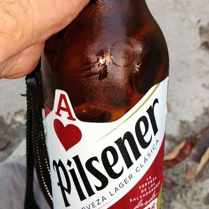 benjami61575009's profile picture. 